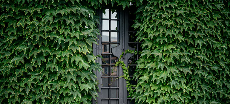 Garden Gate Repair in Port St. Lucie, FL