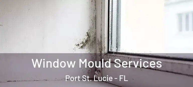  Window Mould Services Port St. Lucie - FL
